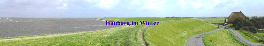 Haubarg im Winter