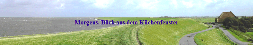 Morgens, Blick aus dem K�chenfenster