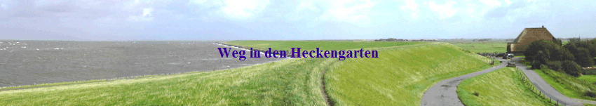 Weg in den Heckengarten