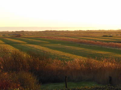 Morgens, Blick aus dem K�chenfenster